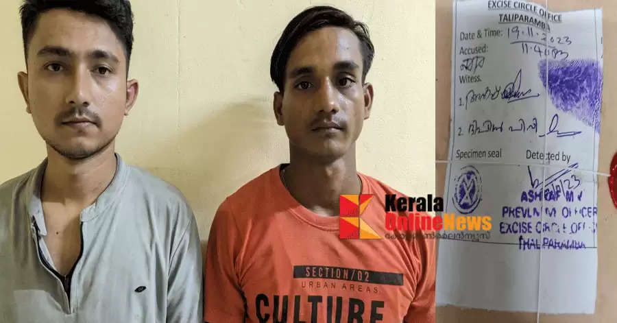 Big ganja poach in Kannur: Youth arrested with 6.185 kg of ganja
