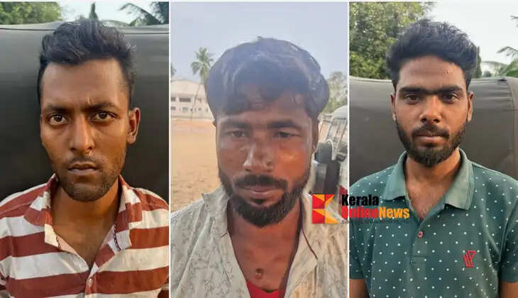 Interstate workers arrested in Kalady with 21 kg of ganja