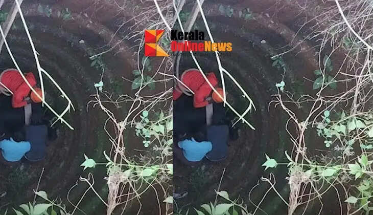 A cow that fell into a well in Arimbra was rescued.