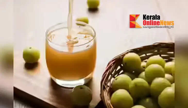 A natural boost for immunity