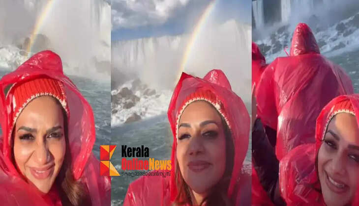 rimi tomy