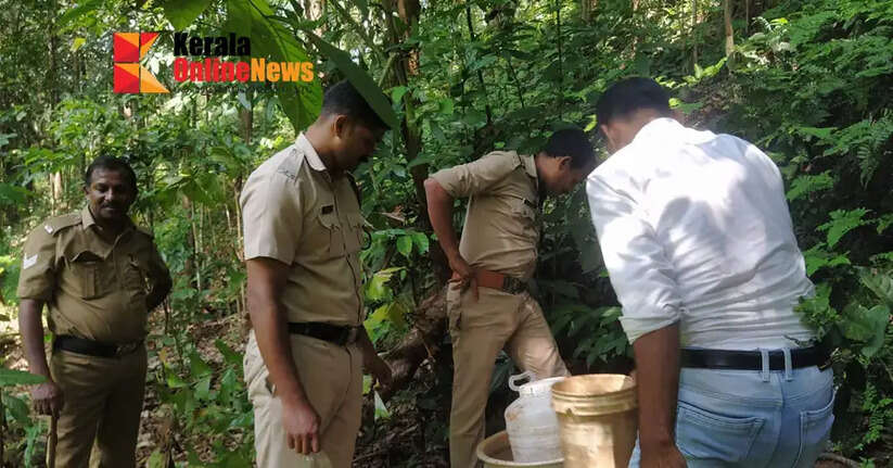പേരാവൂരില്&zwj; എക്&zwnj;സൈസ് വന്&zwj;വാറ്റുകേന്ദ്രംകണ്ടെത്തി നശിപ്പിച്ചു