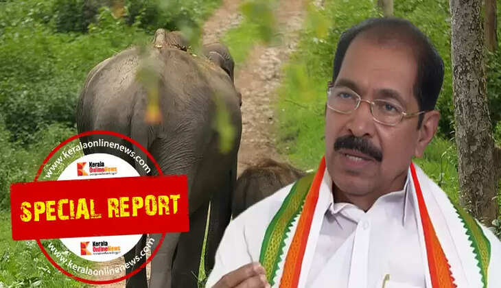 Wayanad congress land