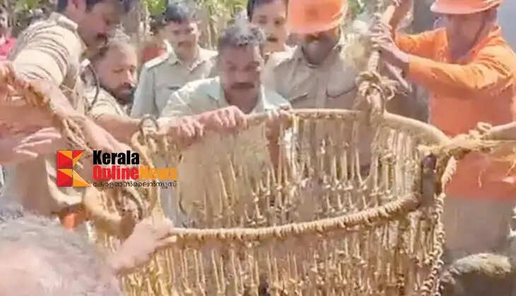 60-year-old man falls into well in Kannur after coming to invite for wedding