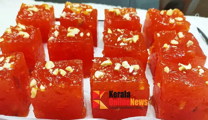 Halwa Sweets..! Election Commission's Gift to First-Time Voters