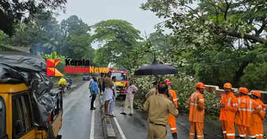 A large tree fell on the national highway in Pallikunnu, disrupting traffic