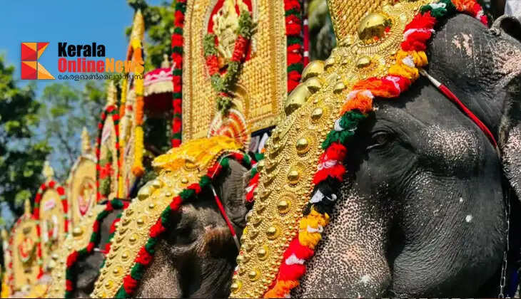 Public interest litigation against elephant parade during hot weather