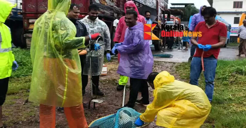 A new step towards human coexistence; Street dog vaccination project launched in Taliparamba, first in Kannur district