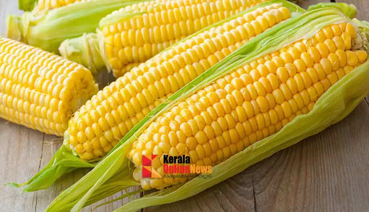 corn