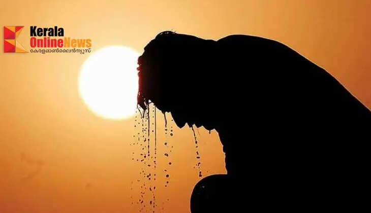 Heat stroke warning: If you see these symptoms, seek immediate treatment...