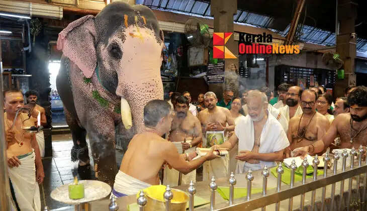 The beauty of prayer and dedication: A symbolic elephant installation ceremony was held at Guruvayur Temple