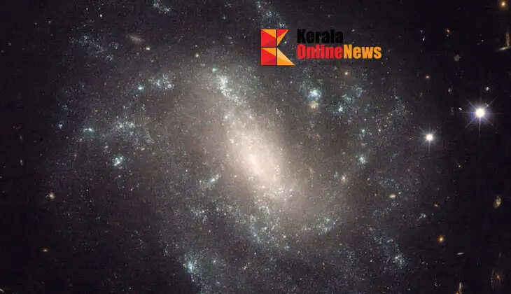 Scientists discover rare star in ancient universe