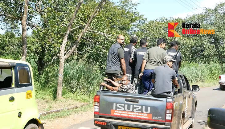 Operation Kannur Makhna: First attempt fails; tuskless male elephant could not be tranquilized despite 10 hours of monitoring.