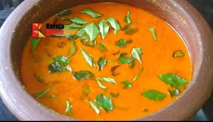 driedsharkcurry