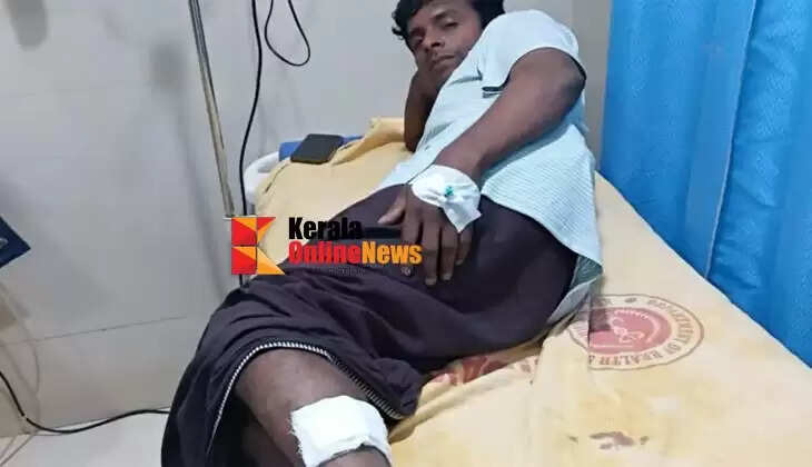 A young man was injured after being bitten by a stray dog ​​in Peravoor