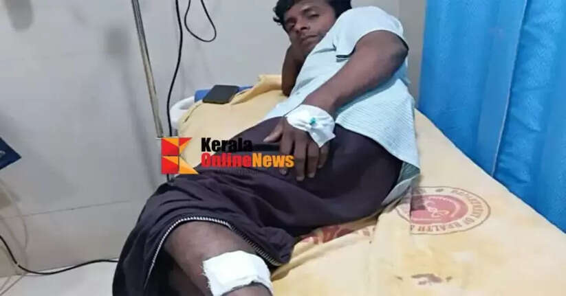 A young man was injured after being bitten by a stray dog ​​in Peravoor
