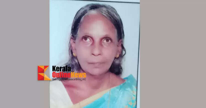 Elderly woman dies after falling into ravine in Kankol