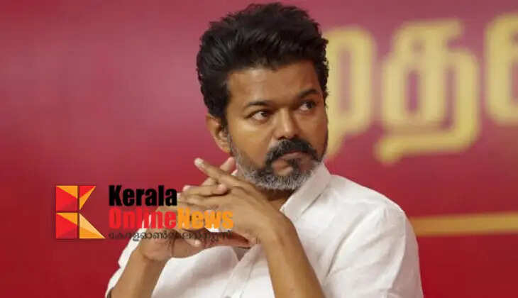 Setback for Tamil Nadu Chief Minister Vijay; High Court quashes Karur dependent's appointment