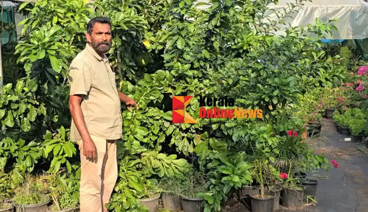 chudala green corner agricultural nursery