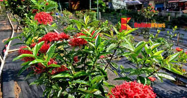 A rare glimpse of Sabari Nandanam in the presence of Lord Ayyappa immersed in floral beauty