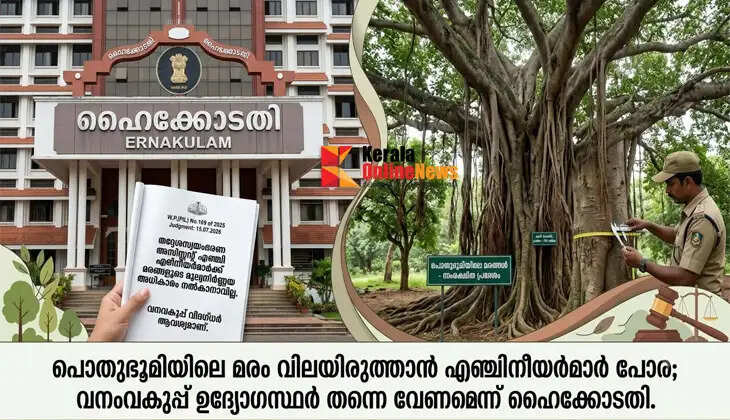 Engineers are not enough to determine the value of trees on public land; Forest Department officials themselves must do it, the High Court ruled.