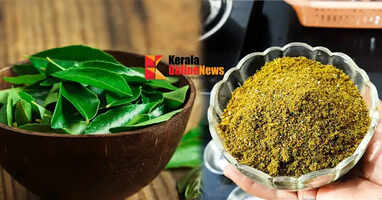 curryleaves chammanthippodi