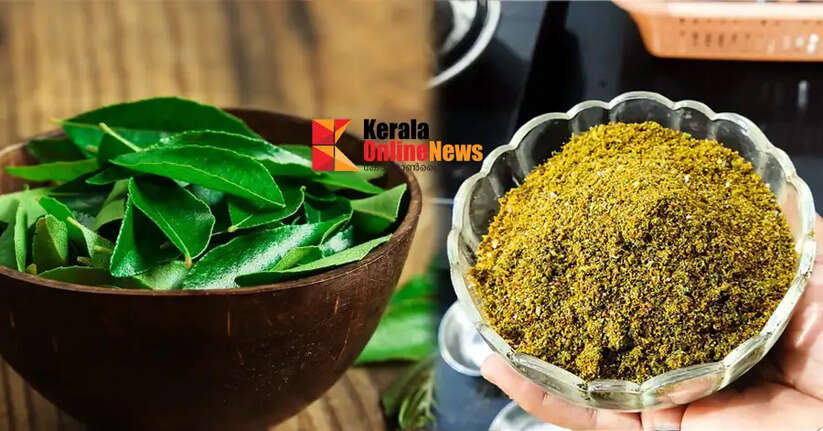 curryleaves chammanthippodi