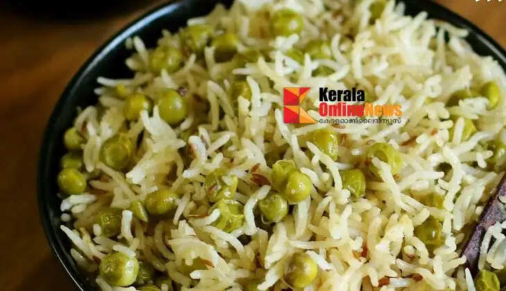 Greenpeace Pulao