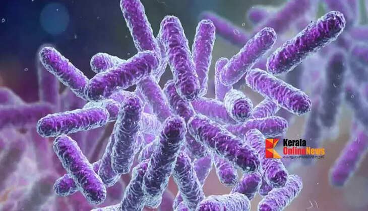 shigella
