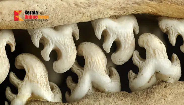 Beautiful crooked teeth! The owner of the picture that went viral on Instagram has finally been found.