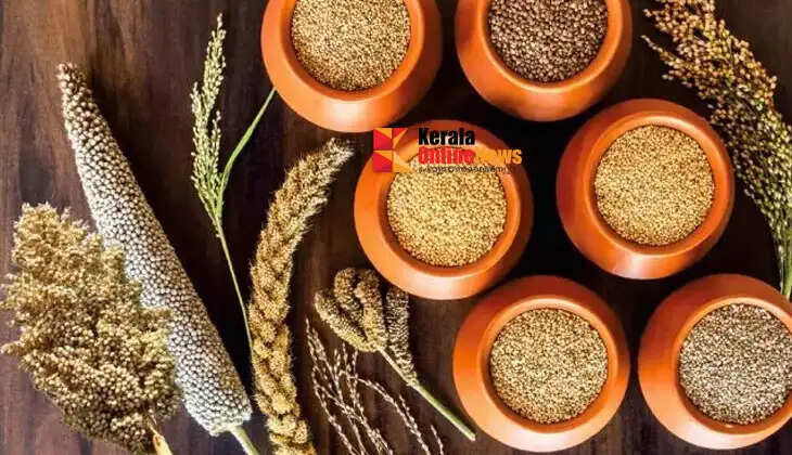 Millet Product Manufacturing: A New Opportunity in the Health Food Market