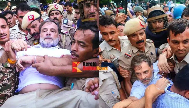 Protest outside the Prime Minister's residence: Case registered against Leader of the Opposition Rahul Gandhi; two FIRs filed.