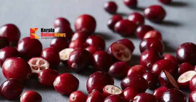 cranberry