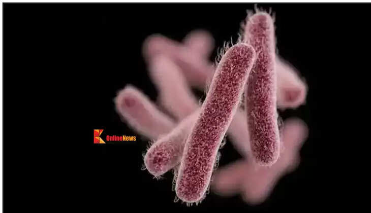 shigella