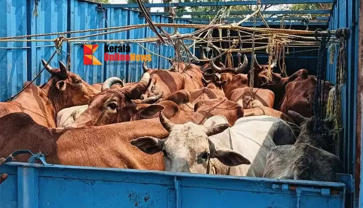 Vehicle stopped and set on fire in Odisha on suspicion of cattle smuggling