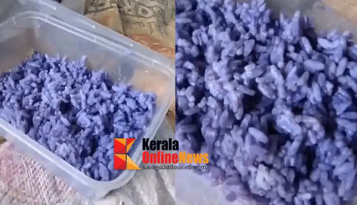 When ration rice was cooked, it turned out to be blue rice; the rice was taken for testing