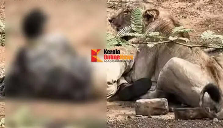 21-year-old killed in lion attack after trespassing into forest area in Gujarat.