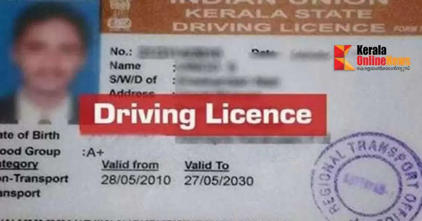fake driving license