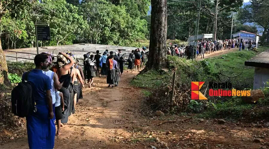 Special-Commissioner-wants-restrictions-to-be-imposed-on-entry-to-the-shrine-via-the-Sabarimala-Pullumedu-forest-path.jpg