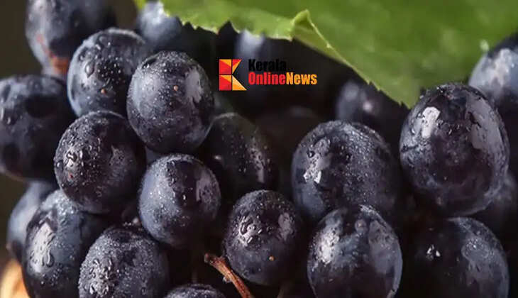 Include black grapes in your diet