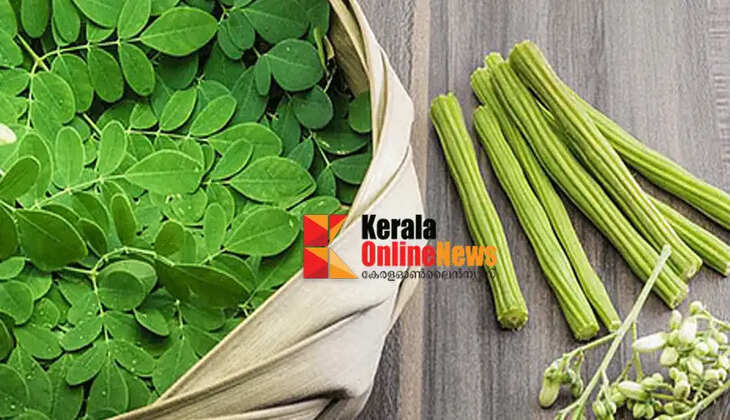 Moringa banned in Australia and New Zealand; Government bans import and sale