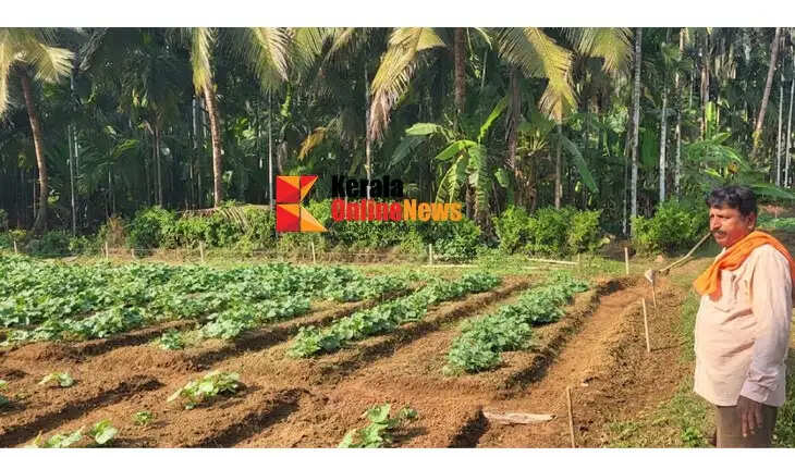 SIVANANDAJAIVA 
