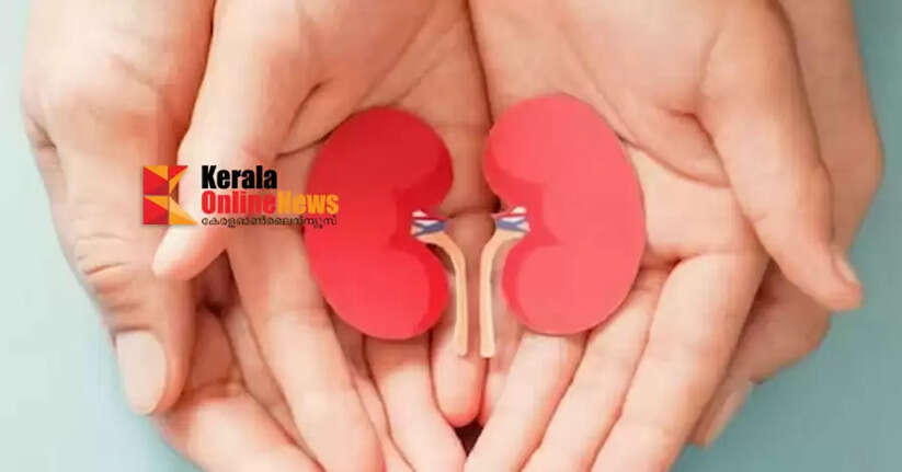 World Kidney Day