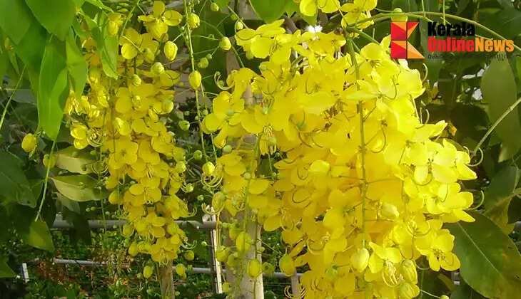 3,200 tonnes of food products arrive from Kochi to Gulf for expatriates' Vishu celebrations