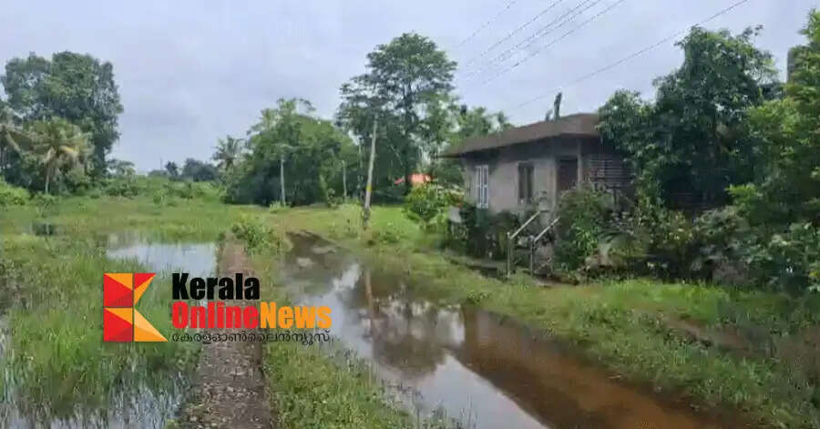 Farmers hit by monsoon; Waterlogging and crop damage in Kaviyoor Panchayat and Thiruvalla Municipality limits