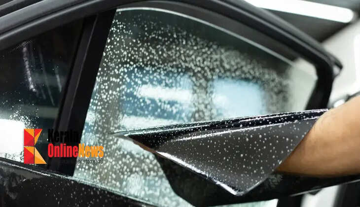tint rule