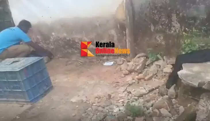 95 snakes caught in Sabarimala in 22 days; Forest Department says there is no need to panic