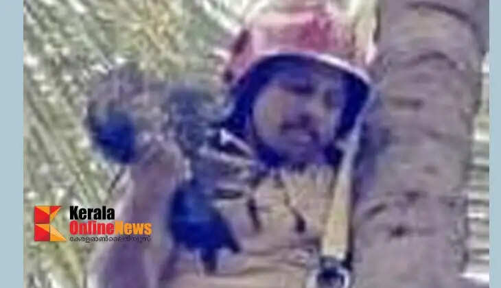 Real rescue operation: Fire force rescues hawk stuck in coconut tree