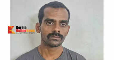 Three houses in Palakkad were broken into and robbed: Interstate thief arrested