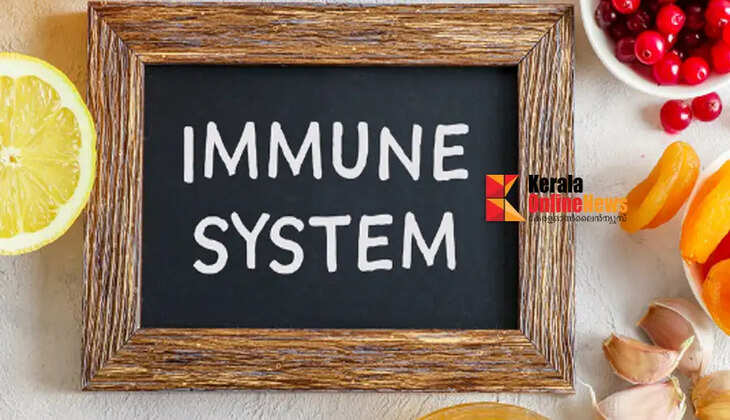 boost immune 